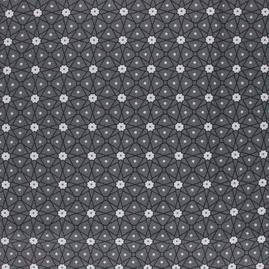 Coton enduit persia gris