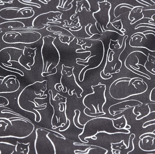 Chats gris anthracite