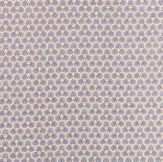 Coton enduit riad gris