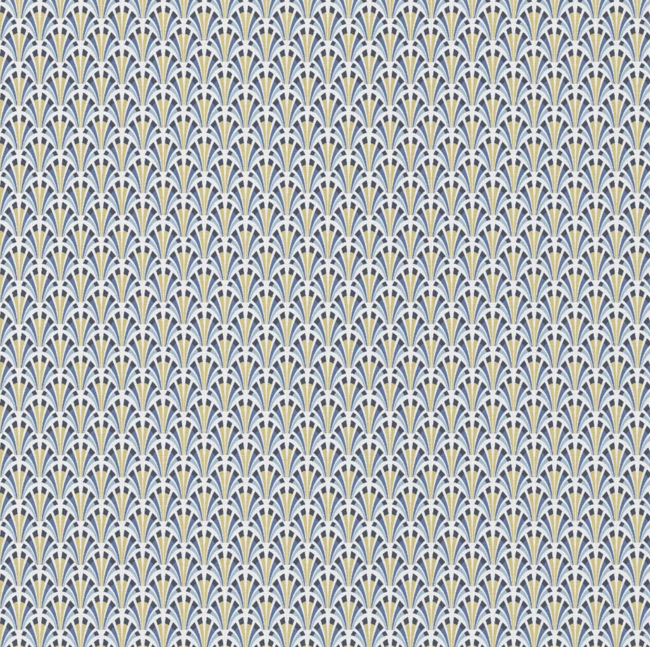 Kolius bleu