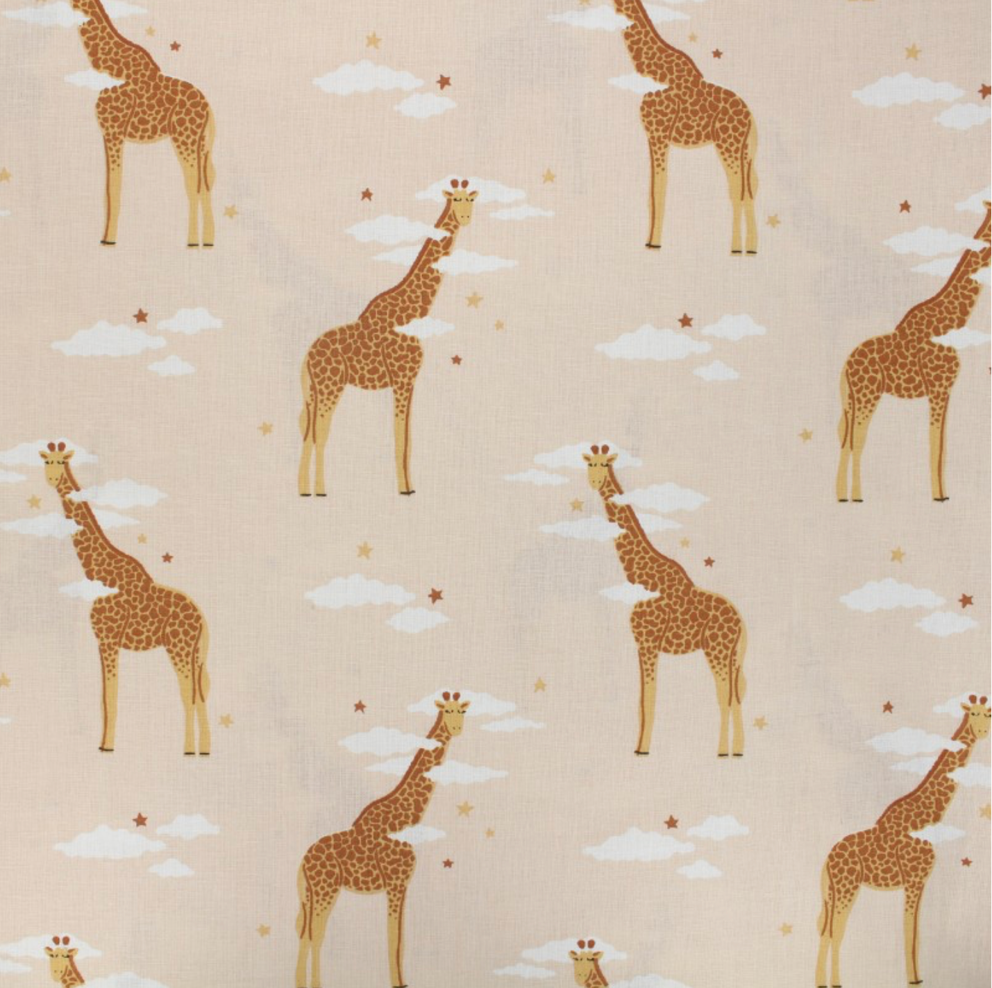 Girafes rose