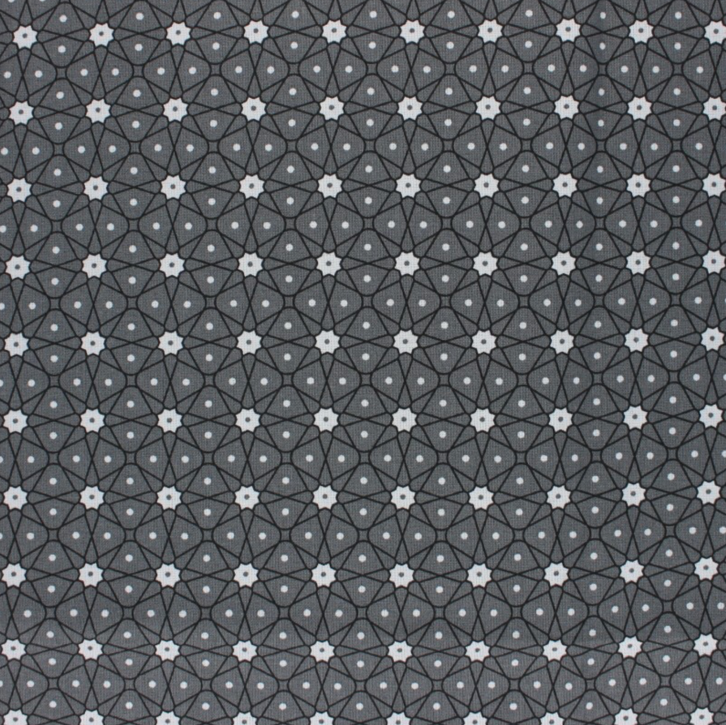 Coton enduit persia gris