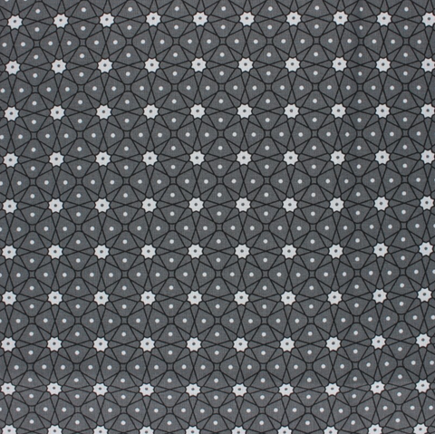 Coton enduit persia gris