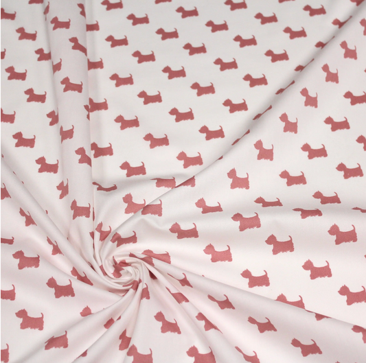 Westie rose
