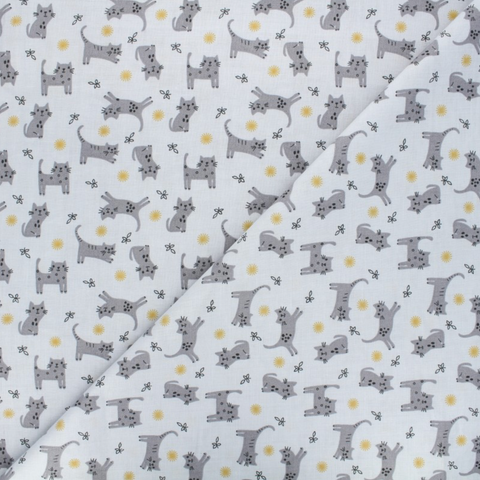 Chats gris