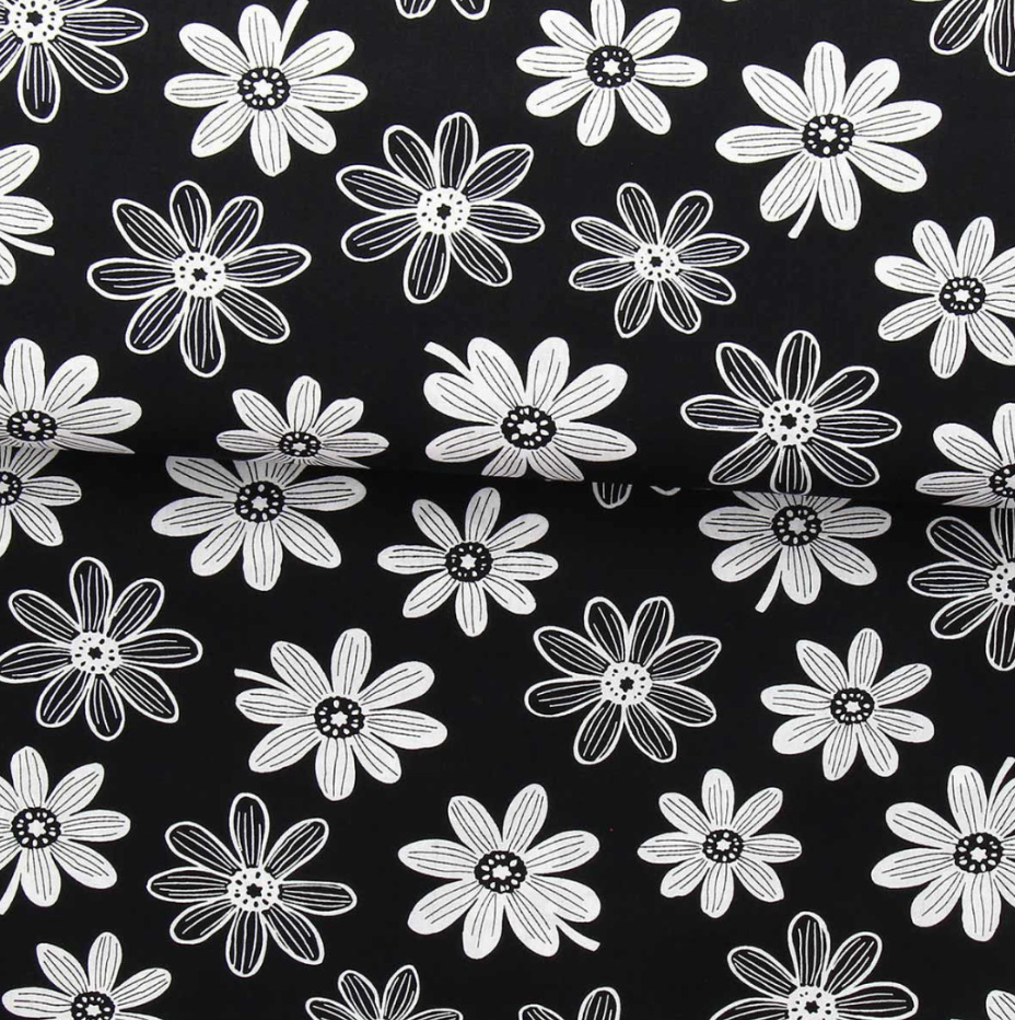 Marguerites fond noir