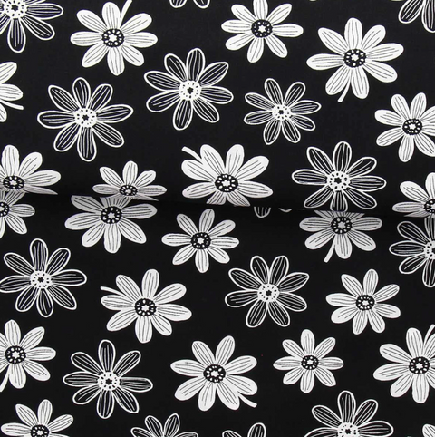 Marguerites fond noir