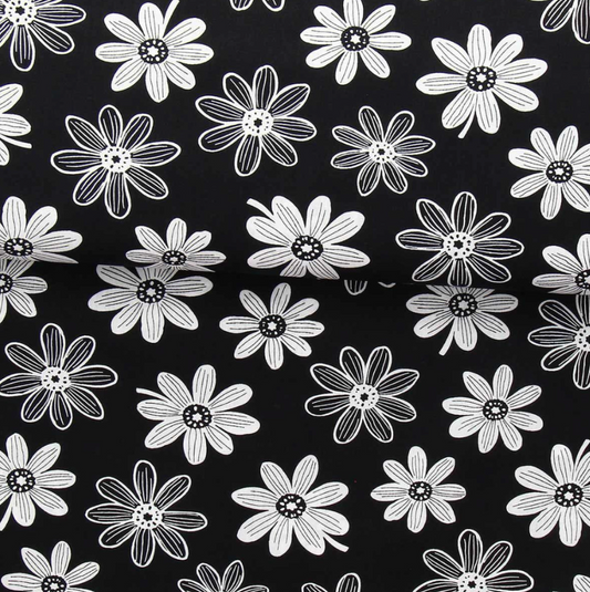 Marguerites fond noir