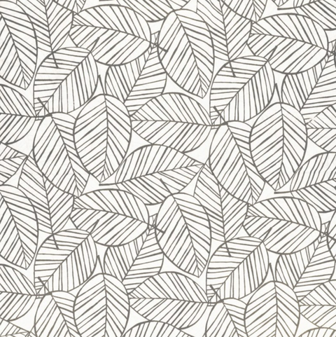 Feuilles grises