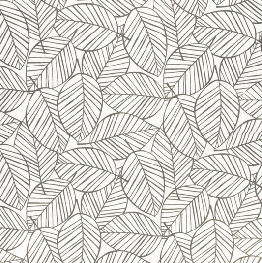 Feuilles grises