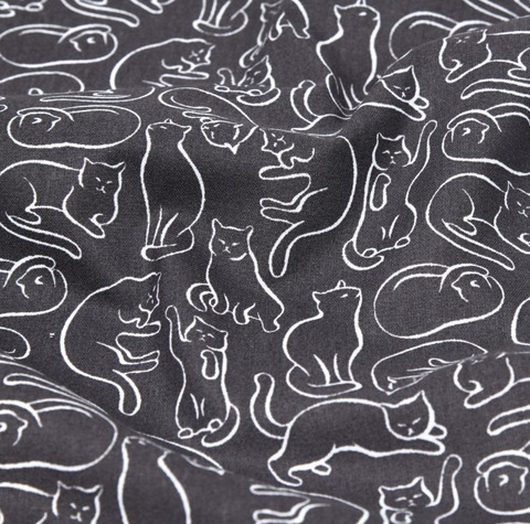 Chats gris anthracite