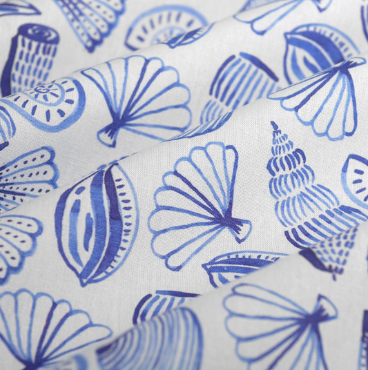 Coquillages bleus