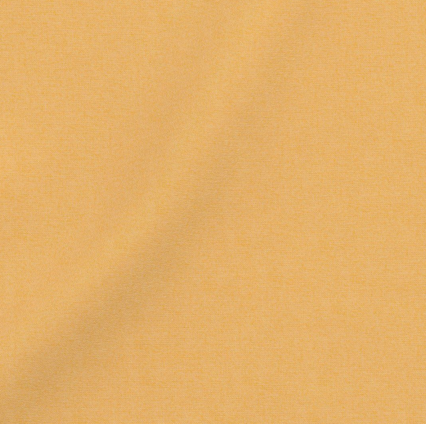 Uni jaune curcuma