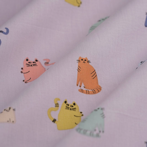 Chats multicolore parme