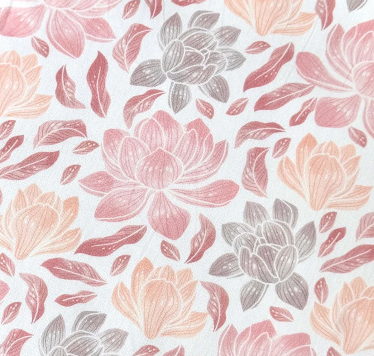 Magnol rose-abricot