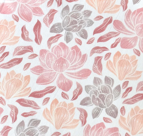 Magnol rose-abricot