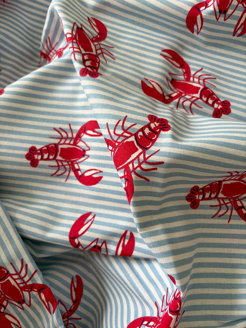 Homard rayures bleues
