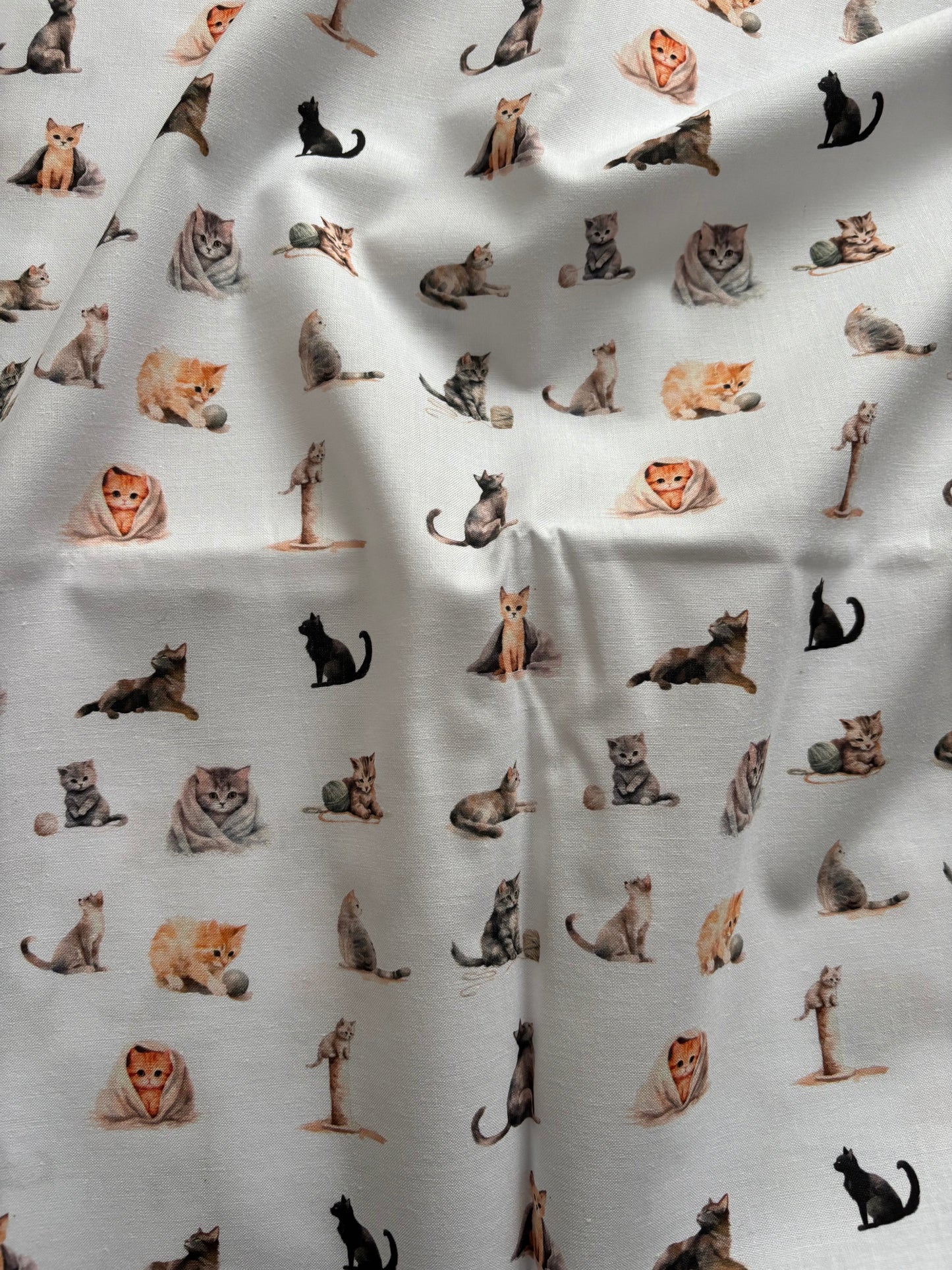 Chats aquarelle