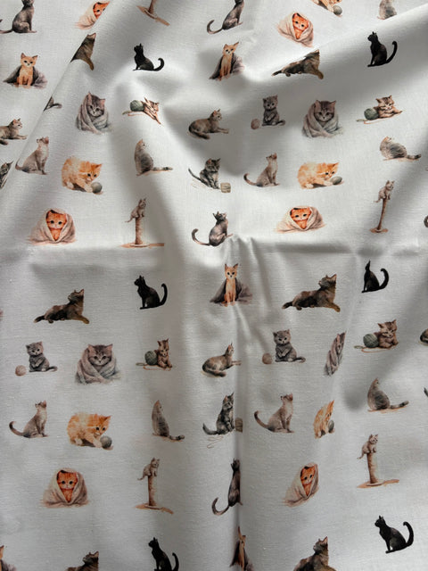 Chats aquarelle